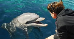 אטרקציות לילדים באילת